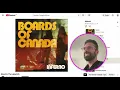 What's going on in Blood In The Labyrinth by Boards of Canada?