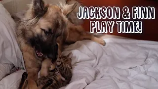 JACKSON & FINN SERIES | #3 Playtime | Sailing Sunday