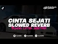 Download Lagu DJ CINTA SEJATI - BUNGA CINTA LESTARI (BOOTLEG SLOWED REVERB) imamsidik remix 2025!!