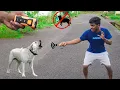 Dogs Barking Device Testing Really Works 7000rs Worth