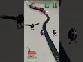 Download Lagu Burung Gagak Mengikuti Telur Hitam dan Kereta Api Mendekat dengan Cepat | Video Burung Gagak. Suara Burung Gagak. Telur Burung Gagak