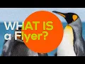 What Is a Flyer