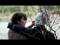 Camila Moreno - Te Quise (video oficial)