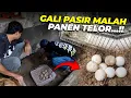WOWW..!! TIBA2 PANEN BANYAK TELUR DARI BAWAH PASIR..!!