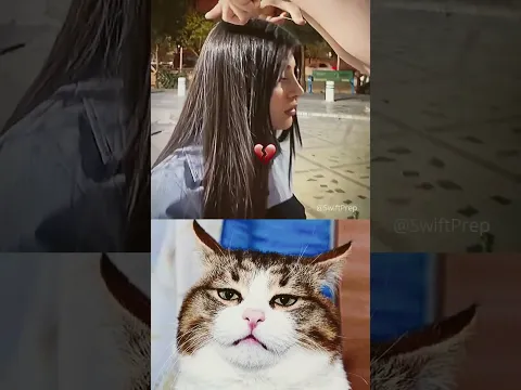 wtf 😂🤣 #shorts #aura #funny #cat #memes #dance #trending
