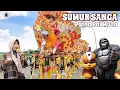 Download Lagu SUMUR SANGA - Voc. NAYAH | SINGA DEPOK PUTRA PAI MUDA (PPM) | DRUNTEN  WETAN BLOK BOJONG CURUG
