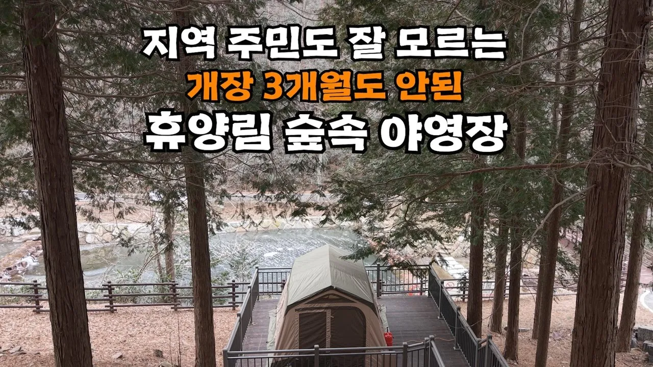 소리 없이 개장해서..아는 사람 거의 없는 지자체 숲속 야영장 🏕️동계에도 운영 썸네일