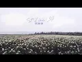 Still Into You - Dylan Brady