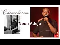 Neon Adejo - Chinecherem Lyrics