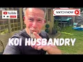 Download Lagu The Importance of Koi Husbandry