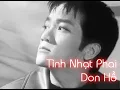 Download Lagu Tình Nhạt Phai - Don Hồ | Nhạc trữ tình hay