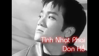 Tình nhạt phai