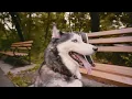 ilan Bluestone & Maor Levi feat  EL Waves   Will We Remain Spencer Brown Remix