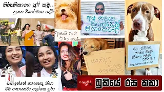 bukiye rasa katha funny fb memes sinhala 2022 04 04 ii