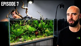 Building A Jungle Community Ecosystem: First Aquascape NEW STUDIO! |EP07| Warehouse To Fish Studio