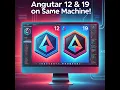 How to Install and Run Two Version Angular 12 19 etc on the Same Machine