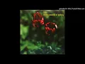 Lilys - Snowblinder