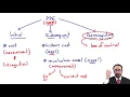 Download Lagu IASB Conceptual Framework Example - ACCA SBR