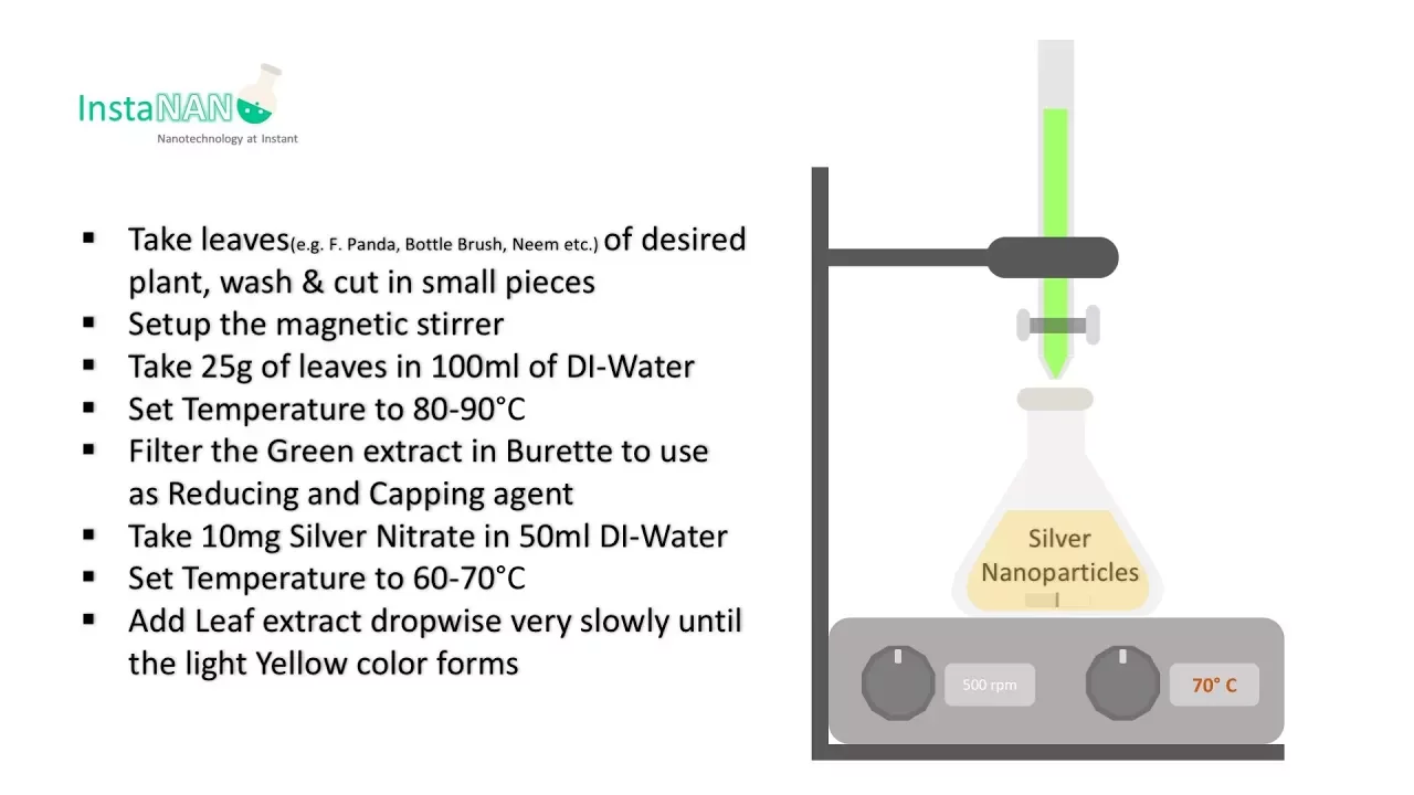 Synthesis of Silver Nanoparticles by Leaf Extract - InstaNANO