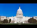 Nationwide opinion polling for the 2024 United States presidential election The 2024 Election Pulse