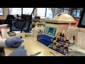 Blood Bank - Crossmatch