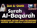 Download Lagu SURAT AL BAQARAH FULL PENGUSIR JIN SETAN DAN PELINDUNG RUMAH DARI SEGALA KEBURUKAN | Saad Al-Ghamdi