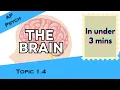 The Brain in Under 3 mins AP Psychology Unit 1 Topic 4 1 4