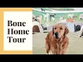 The Bone Adventure - Bone Home Tour