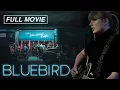 Bluebird FULL DOCUMENTARY Taylor Swift The Bluebird Cafe Nashville Country Music Garth