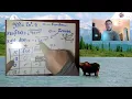 Edgenuity Math Help