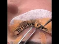 soft volume lash extension