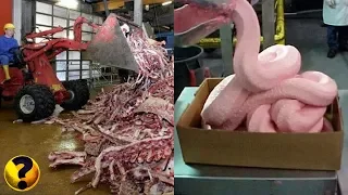 11 SEGREDOS QUE A INDUSTRIA ALIMENTÍCIA NÃO QUER QUE VOCÊ SAIBA
