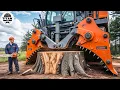 Extreme Dangerous Monster Stump Removal Excavator | Amazing Fastest Wood Chipper Machines #13
