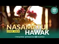 Download Lagu Nasamatu Hawak - Cover Aulia