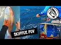 PINK SNAPPER VS SHARKS - Deep Sea Fishing Charter Filleting Coral Bay 22