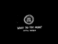 Download Lagu Justin Bieber - What Do You Mean? (Savid Remix)