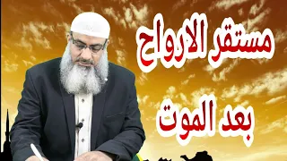 مستقر الأرواح بعد الموت دندنها