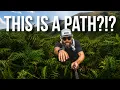 This Is ly the WORST Path I ve Ever Hiked