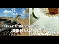 Download Lagu Ternyata tiga benda ini sangat di takuti ular