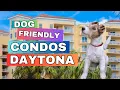 Find Dog-Friendly Condos Daytona Beach Surrounding Areas