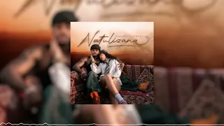 diamond platnumz natulizana instrumental 