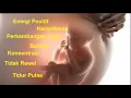 Lagu musik box untuk bayi tertidur, musik klasik untuk janin bayi dalam kandungan