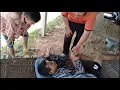 กอดเสาเถียง - ปรีชา ปัดภัย【Cover MV】
