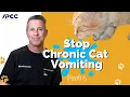 Stop Chronic Cat Vomiting Part 1