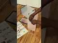 How to Assemble Sneaklin s Stackable Shoe Storage Boxes