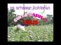 Download Lagu CINTA RASUL 4 - SULIS - YA ARHAMAR ROHIMIEN