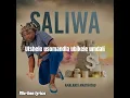 Saliwa - Intambo Esemqaleni (feat. Gandaganda) [Lyric video]