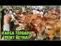 Download Lagu Harga Terbaru Pedet Betina Calon Indukan Super. Pasar Glenmore Banyuwangi Jatim