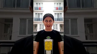 دب دب يس يس Shorts 