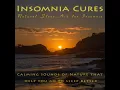 River Birds (feat. Australian Nature Sounds, Wild Eden & Dr Eric Fassbender) - Insomnia Cures